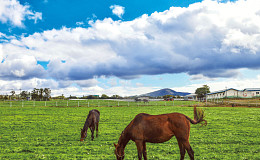 언제나 자연이 숨 쉬는 섬, 제주