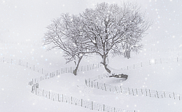 [카드뉴스] 겨울에 떠나기 좋은 국내 설경 명소 5선