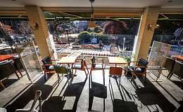 말을 못 할 뿐, 나무도 사람과 같다 교감하라! 갈 길이 보인다