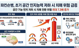 “기억력보다 시공간 능력 먼저 떨어지면 파킨슨 위험 7.3배↑”