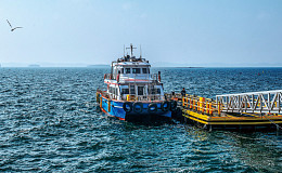 이토록 고요한 대숲의 평온, 죽도