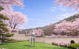 벚꽃과 전시 사이, 4월의 미술관