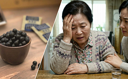 기억력 책임지는 해마, 한약으로 지킨다