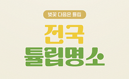 [카드뉴스] 지금이 절정, 전국 튤립 인생샷 스팟 5