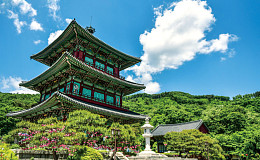 숨은 자연이 건네는 조용한 위로, 생거진천(生居鎭川)