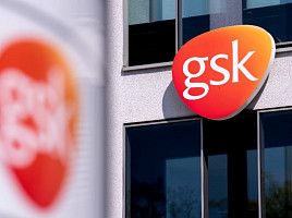 GSK, ‘TIGIT-CD226’ 전면 “중단”..新IO 꿈 "끝나"