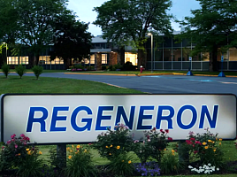 리제네론, 'GLP-1/GIP' 中비만 3상 "젭바운드 유사"