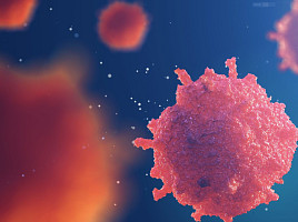 카프리코, ‘DMD 세포치료제’ 3상 “성공”..주가 300%↑