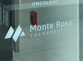 몬테로사, NLRP3 타깃 'NEK7 분자접착제' 1상 "인상적"