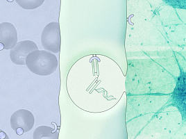 애르스카, 시드 2100만弗..뇌질환 ‘BBB 셔틀’ RNAi