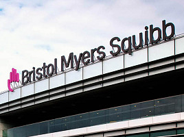 BMS, 베팅 'EGFRxHER3 ADC' TNBC 中3상 "OS 개선"