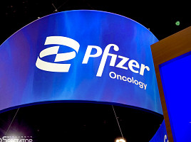 화이자, TOP1 '메소텔린 ADC' 중단..초기 항암제 2건도