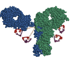 삼성, "에피스 파트너" 차세대 ADC '프론트라인' 투자