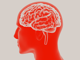 J&J, '타우 항체' 알츠하이머병 2상 "실패..중단키로"