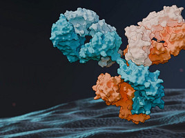에피바이오, 시리즈B 1.07억弗..EGFR ‘이중항체 TPD’