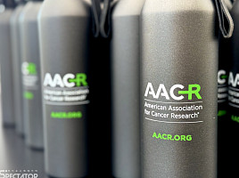 HLB, 新접근 ‘KIR CAR-T’ 고형암 1상서 "첫 효능 PoC"