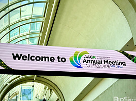 오름, 내약성 개선 'CD123 DAC' AML "하반기 IND 제출"