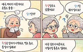[만화로 보는 시니어 뉴스] 독감과 감기, 어떻게 다를까