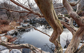 봄 오기 직전 한 톨 씨앗이 하는 일을 보라, 가히 우주적인 거사를…