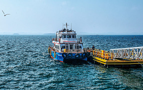 이토록 고요한 대숲의 평온, 죽도