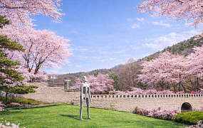 벚꽃과 전시 사이, 4월의 미술관