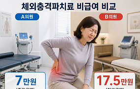 “허리 아파 체외충격파 받았는데” 의원 따라 10만원 넘게 차이