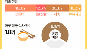 하루 1.8끼 먹고 소득 40% 생활비로 쓰지만…"1인 생활 만족" [데이터클립]