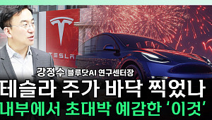 [찐코노미] 테슬라에서 초대박 예감한 '이것'…주가 반등 모멘텀 될까