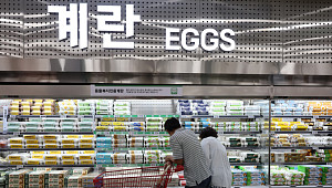 달러가 움직이면 닭이 화내는 이유?…계란값이 알려준 진실 [에그리씽]