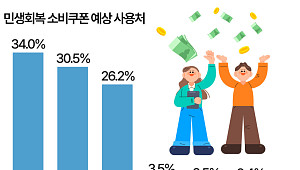 민생회복 소비쿠폰, 어디에 가장 많이 쓸 예정인가 보니 [데이터클립]