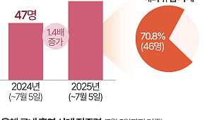 "베트남 갔다가 홍역"…여름철 해외여행 홍역 주의보 [데이터클립]