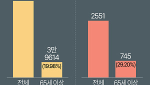 브레이크 대신 가속페달?⋯고령 운전자 사고, 숫자로 본 현실 [그래픽 스토리]