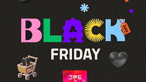 "하산 완료"⋯블랙 프라이데이, 발 빠른 자가 승리합니다 [솔드아웃]