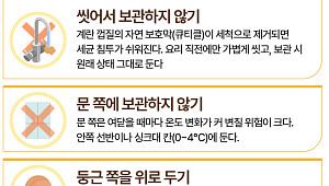 "계란 둥근 쪽을 위로? 아래로? … 올바른 '계란 보관법'은  [에그리씽]