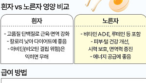 노른자만 주기?…강아지 '계란' 어떻게 급여해야 할까 [에그리씽]