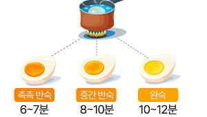 6분? 10분?…완벽한 계란 삶는 법 [에그리씽]