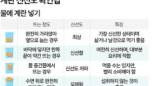 "물에 넣어보세요"…계란 신선도 확인하는 법 [에그리씽]