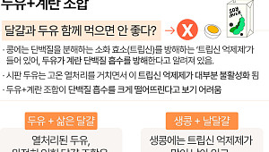두유와 계란, 같이 먹으면 안 된다? [에그리씽]