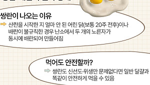 '쌍란' 달걀의 진짜 정체 [에그리씽]