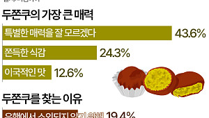 "두쫀쿠, 특별한 매력 잘 모르겠다"…그런데도 사 먹는 이유 [데이터클립]
