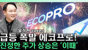 2차전지 다시 불붙나…에코프로 급등에 '로봇 배터리' 기대감 [찐코노미]