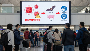 '니파 바이러스' 공포…설 명절 동남아 여행 비상 [이슈크래커]