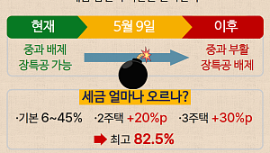 "마지막 비상구"…양도세 중과 부활 D-100 대응 전략 [이슈크래커]
