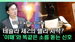 "자동차 더 팔아도 안 올랐다"…현대차·테슬라 주가 변수는 [찐코노미]