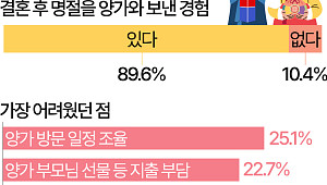 명절 최대 고민은…男 '양가 일정 조율'·女 '지출 부담' [데이터클립]