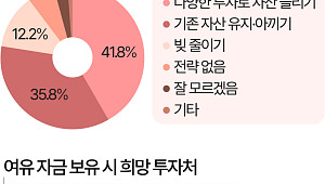 여윳돈으로 부동산·금 산다?…이제는 '주식' [데이터클립]