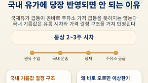 국제유가 100달러 돌파⋯국내유가에 당장 반영되면 안 되는 이유 [인포그래픽]