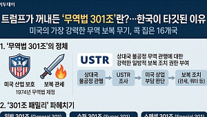 트럼프가 꺼내든 '무역법 301조'란?…한국이 타깃된 이유 [인포그래픽]