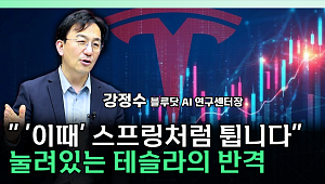 “AI가 스스로 운전 배운다”...테슬라 FSD의 진짜 의미 [찐코노미]
