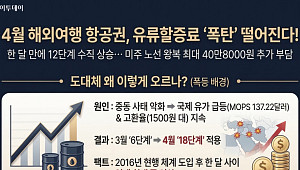 4월 비행기값 얼마나 오르나?…유류할증료 폭등 공포 [인포그래픽]